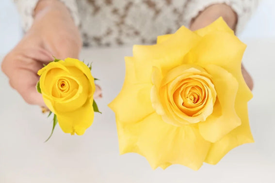 Tips and Tricks — Opening Roses – Bouquet Box