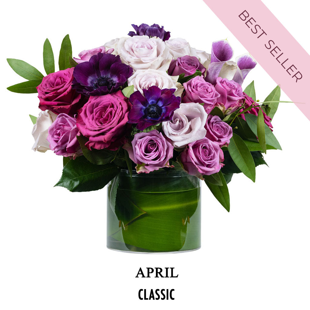 April After Party (2026)