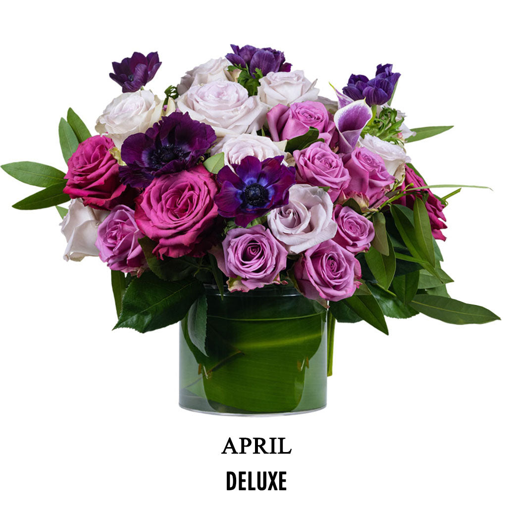 April After Party (2026)