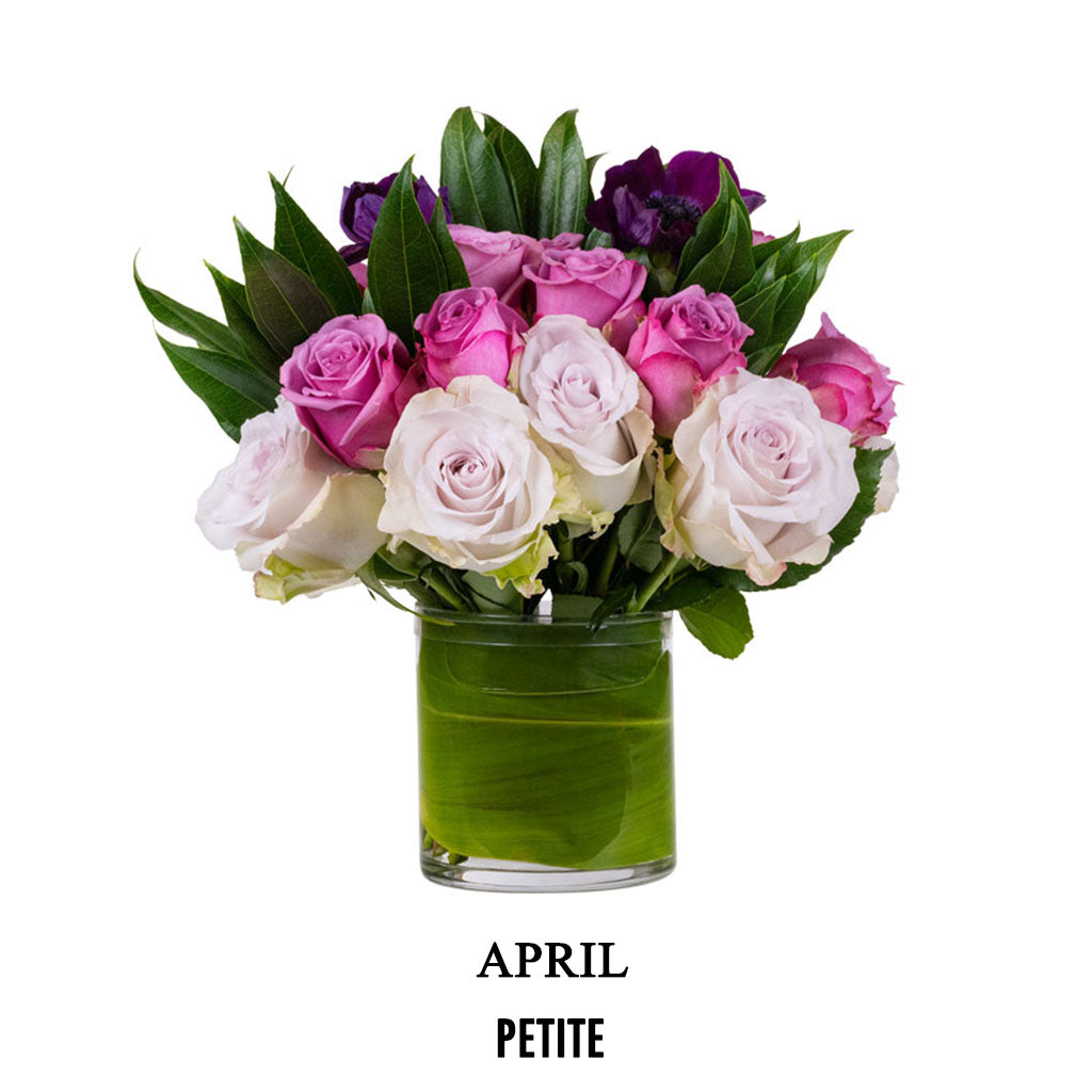 April After Party (2026)