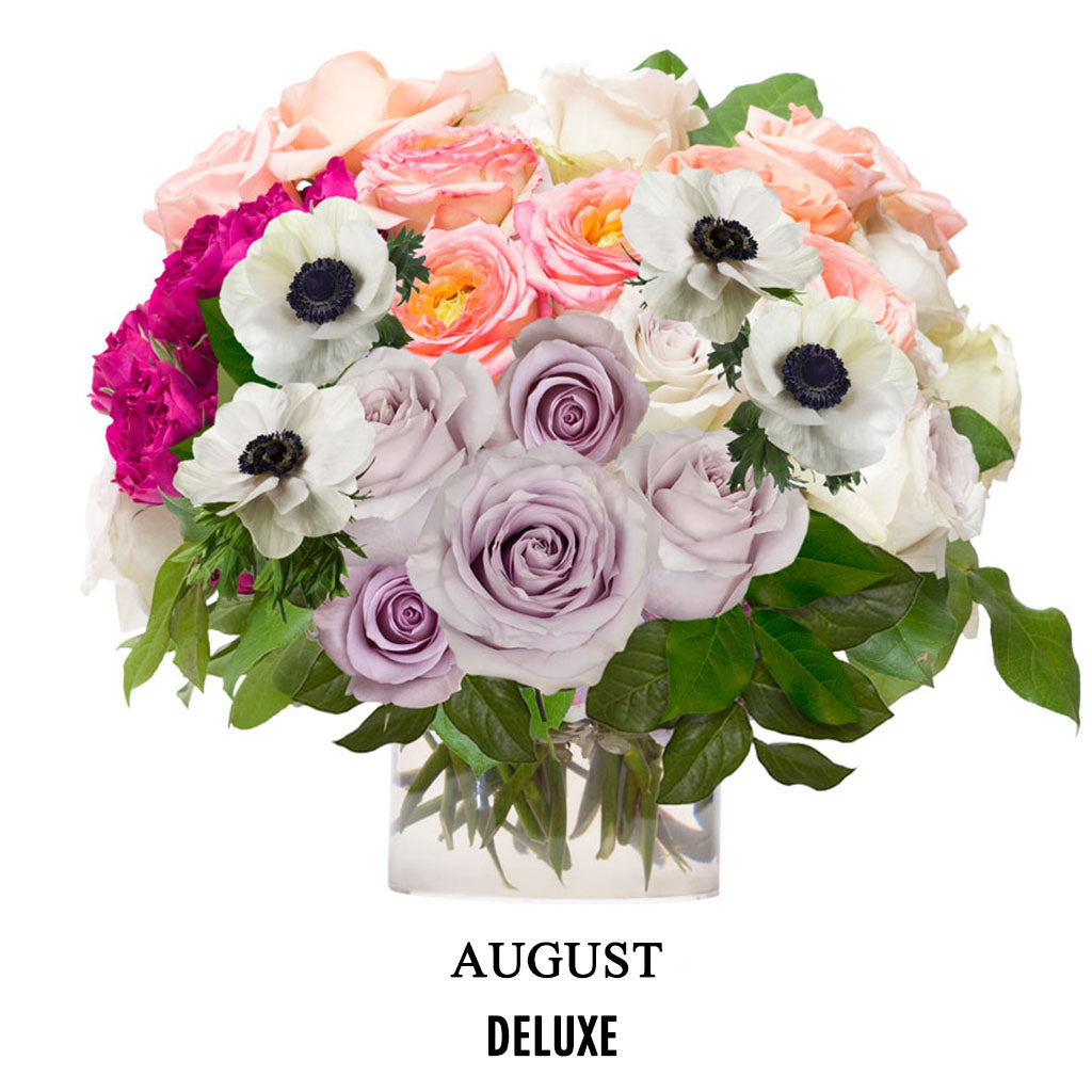 August Summer Friday (2026)