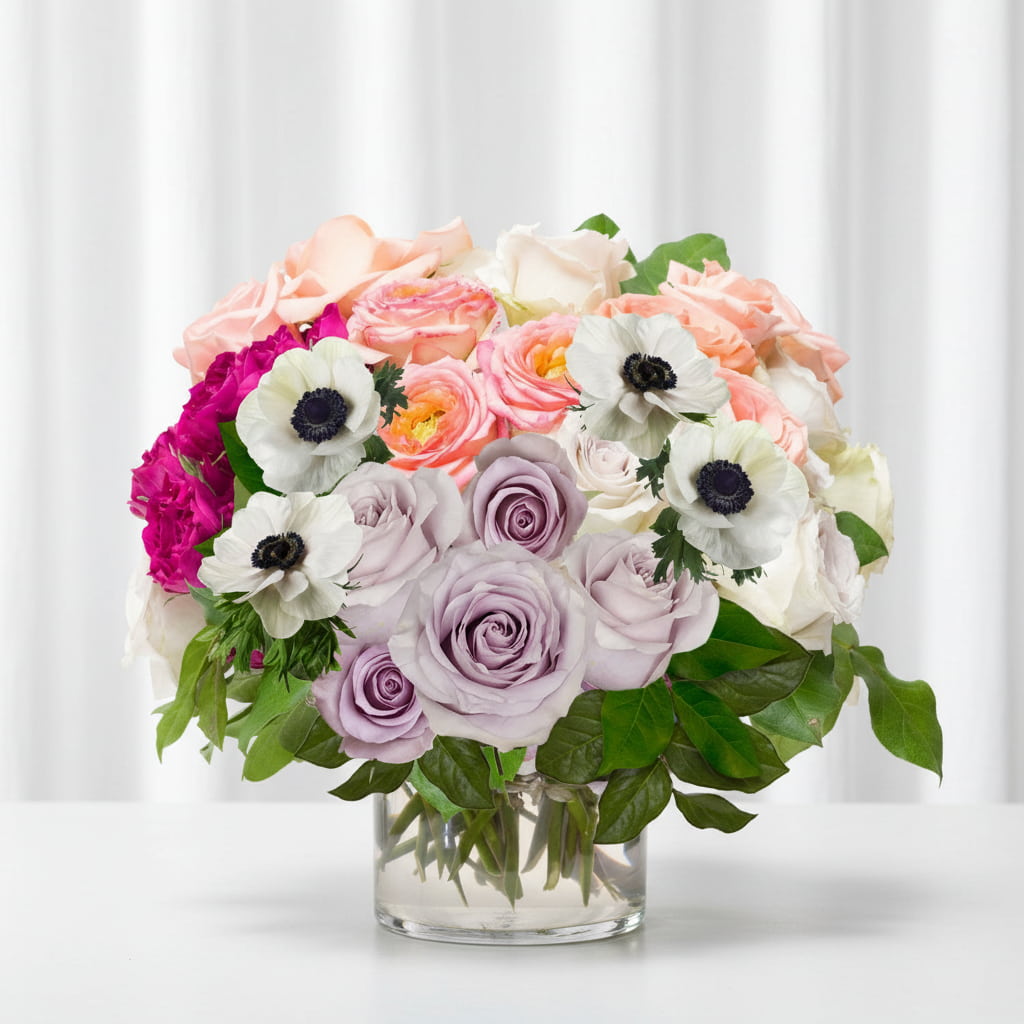 August Summer Friday (2026)