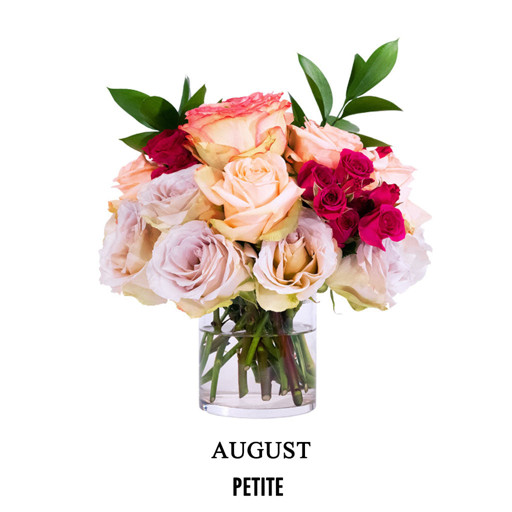 August Summer Friday (2026)