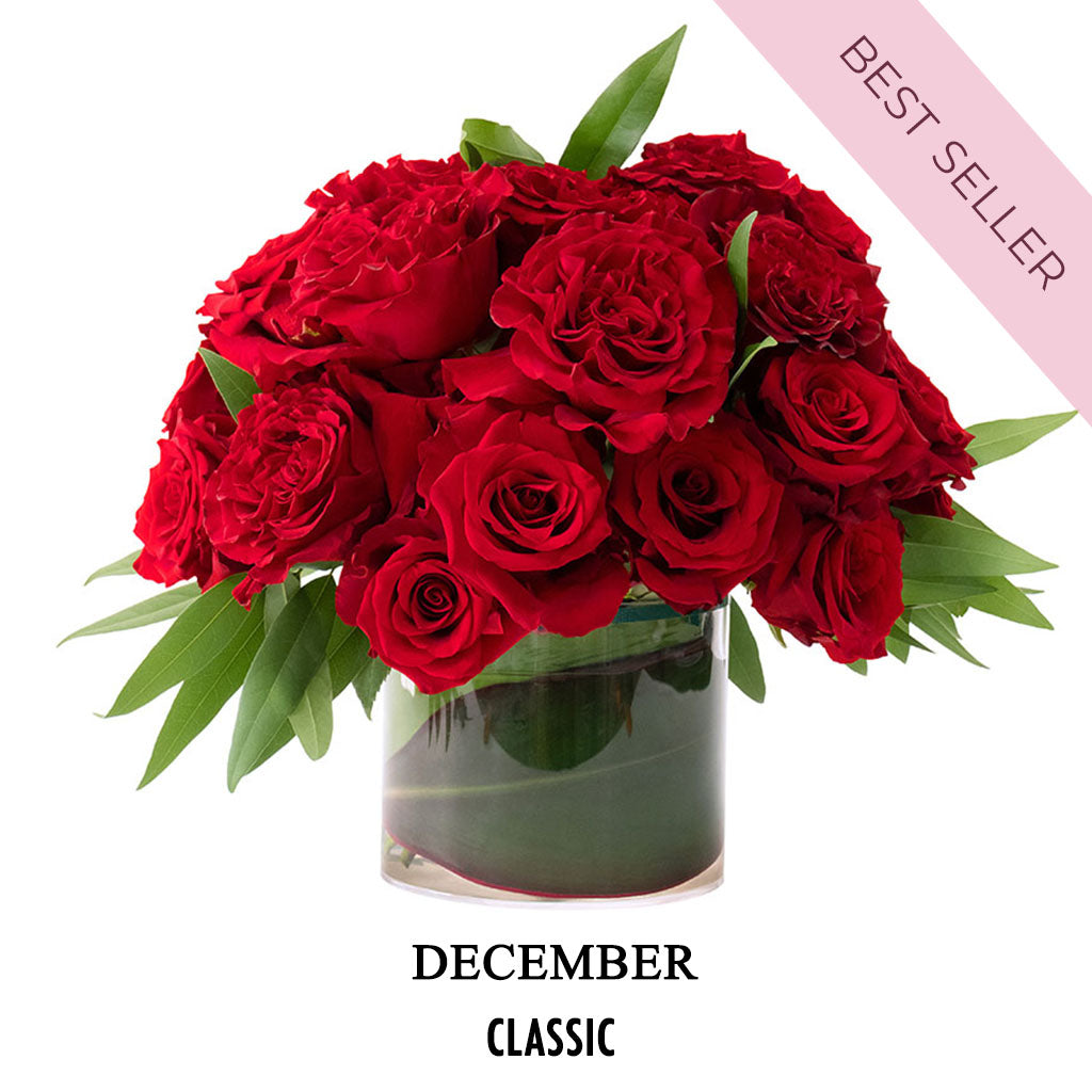 December Holiday Gala (2026)