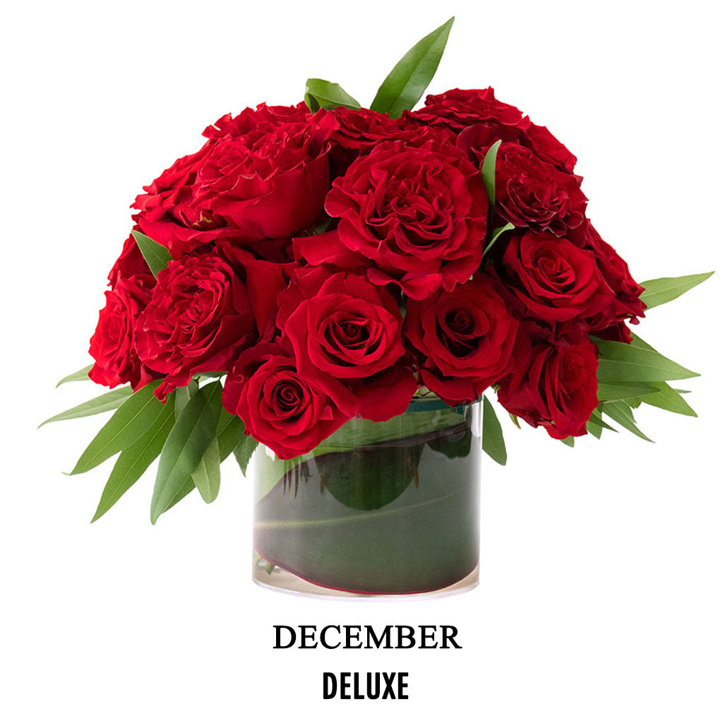 December Holiday Gala (2026)