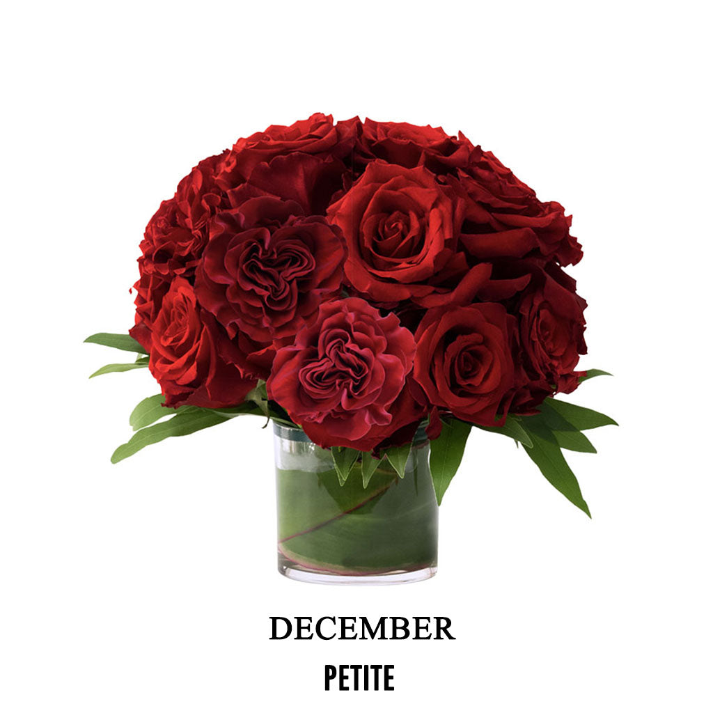 December Holiday Gala (2026)