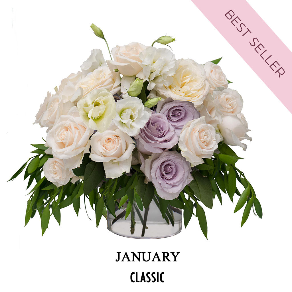 January Soft Glam (2026)