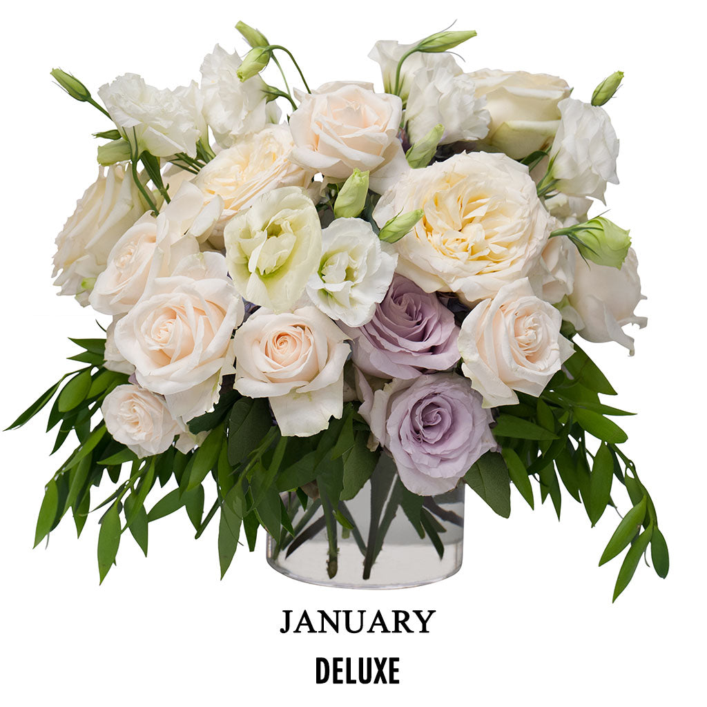 January Soft Glam (2026)