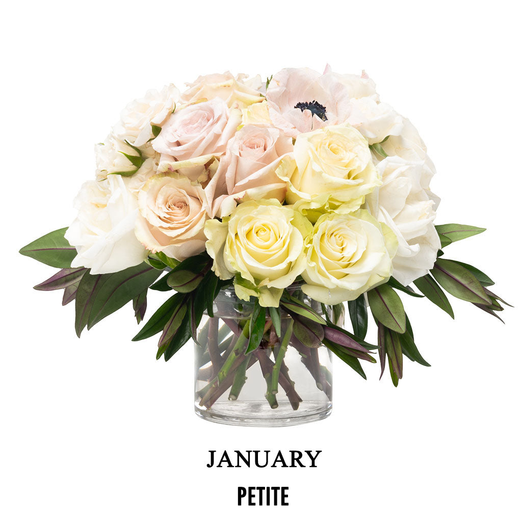 January Soft Glam (2026)