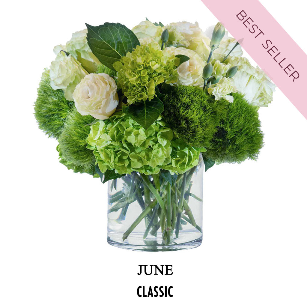 June Picnic Chic (2026)