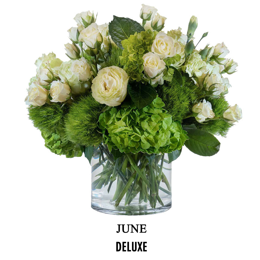 June Picnic Chic (2026)