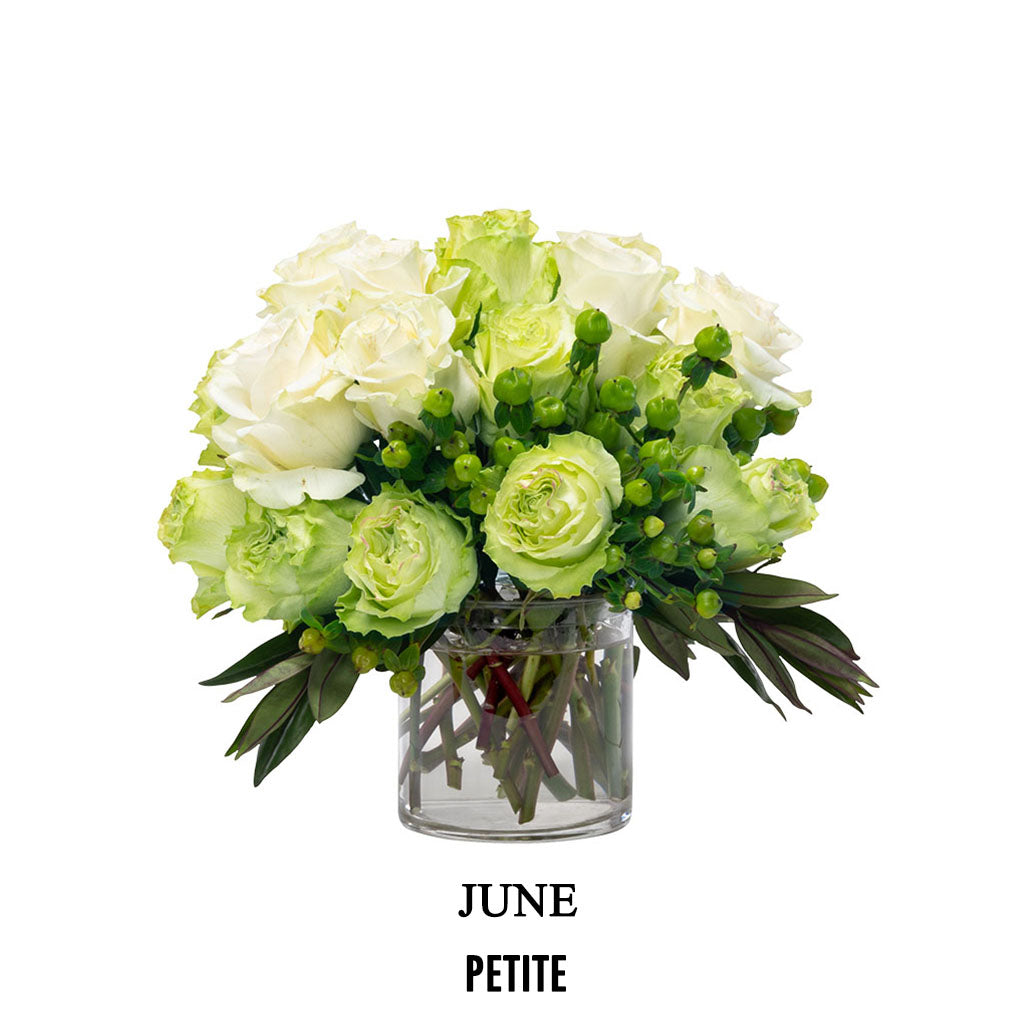 June Picnic Chic (2026)