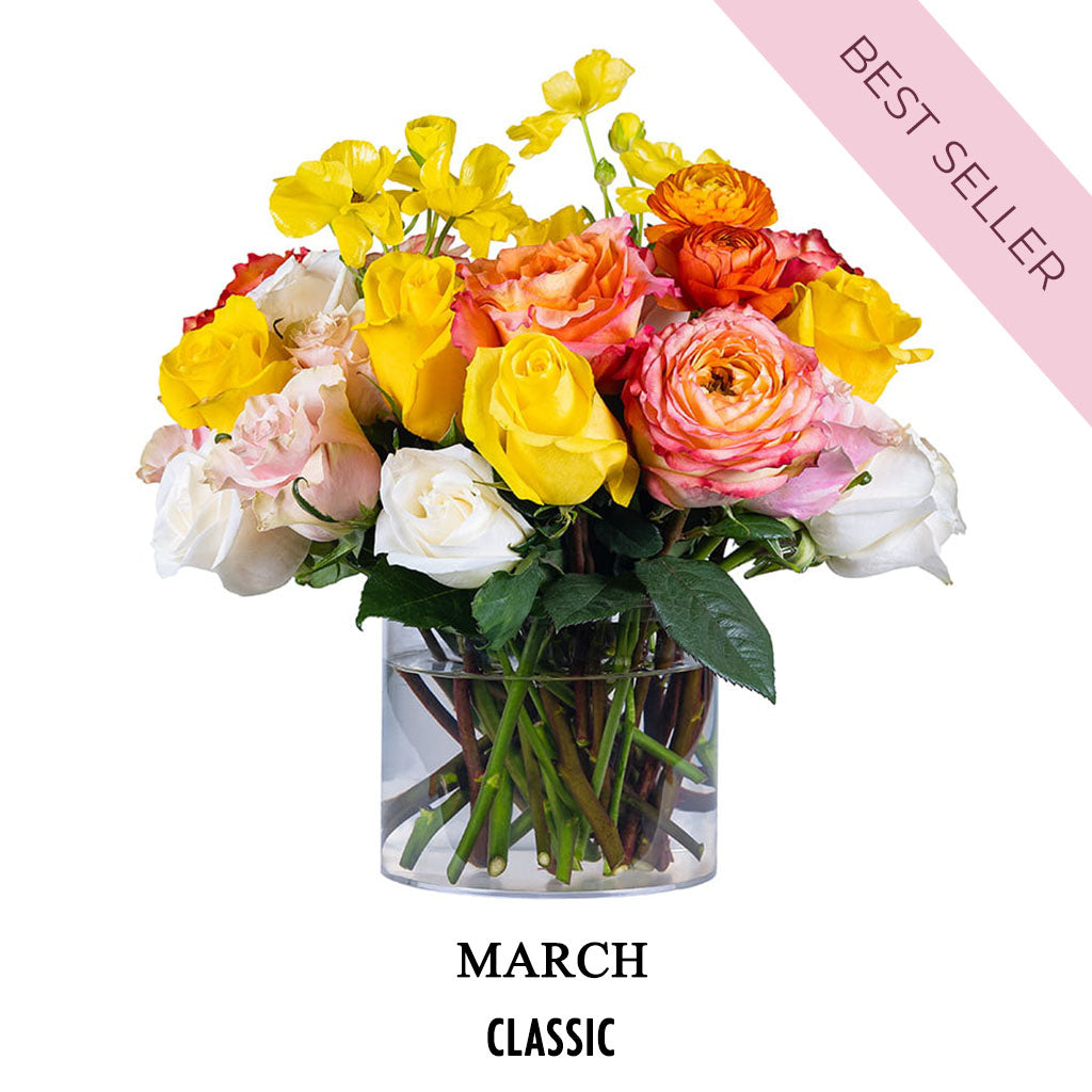 March Social Butterfly (2026) Classic