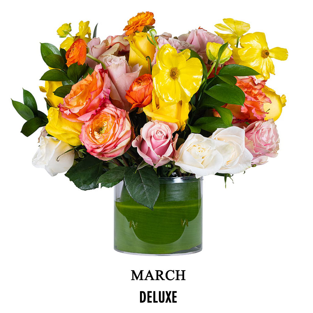 March Social Butterfly (2026) - DELUXE