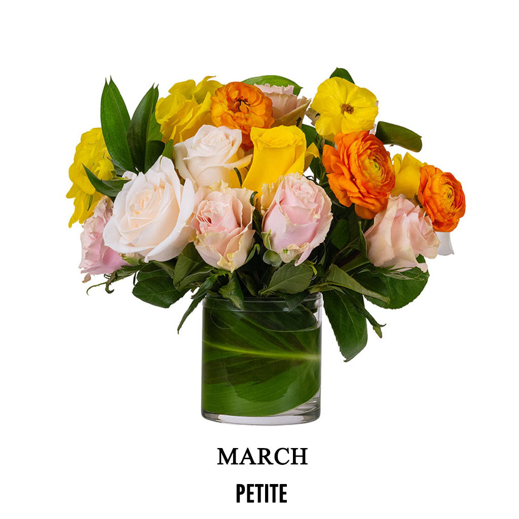 March Social Butterfly (2026) Petite