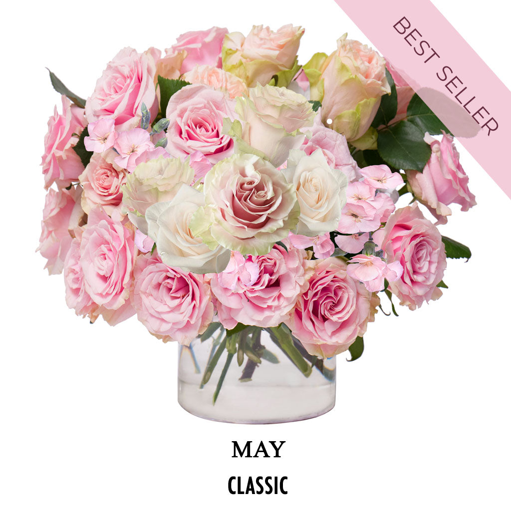 May Rosé Glow (2026)