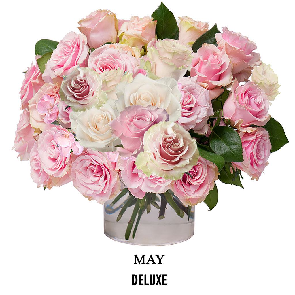 May Rosé Glow (2026)