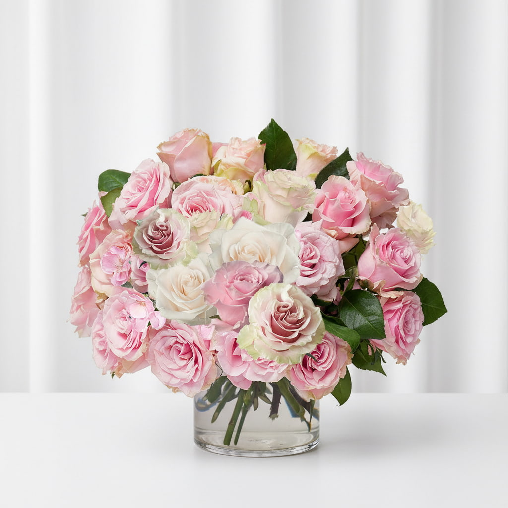 May Rosé Glow (2026)