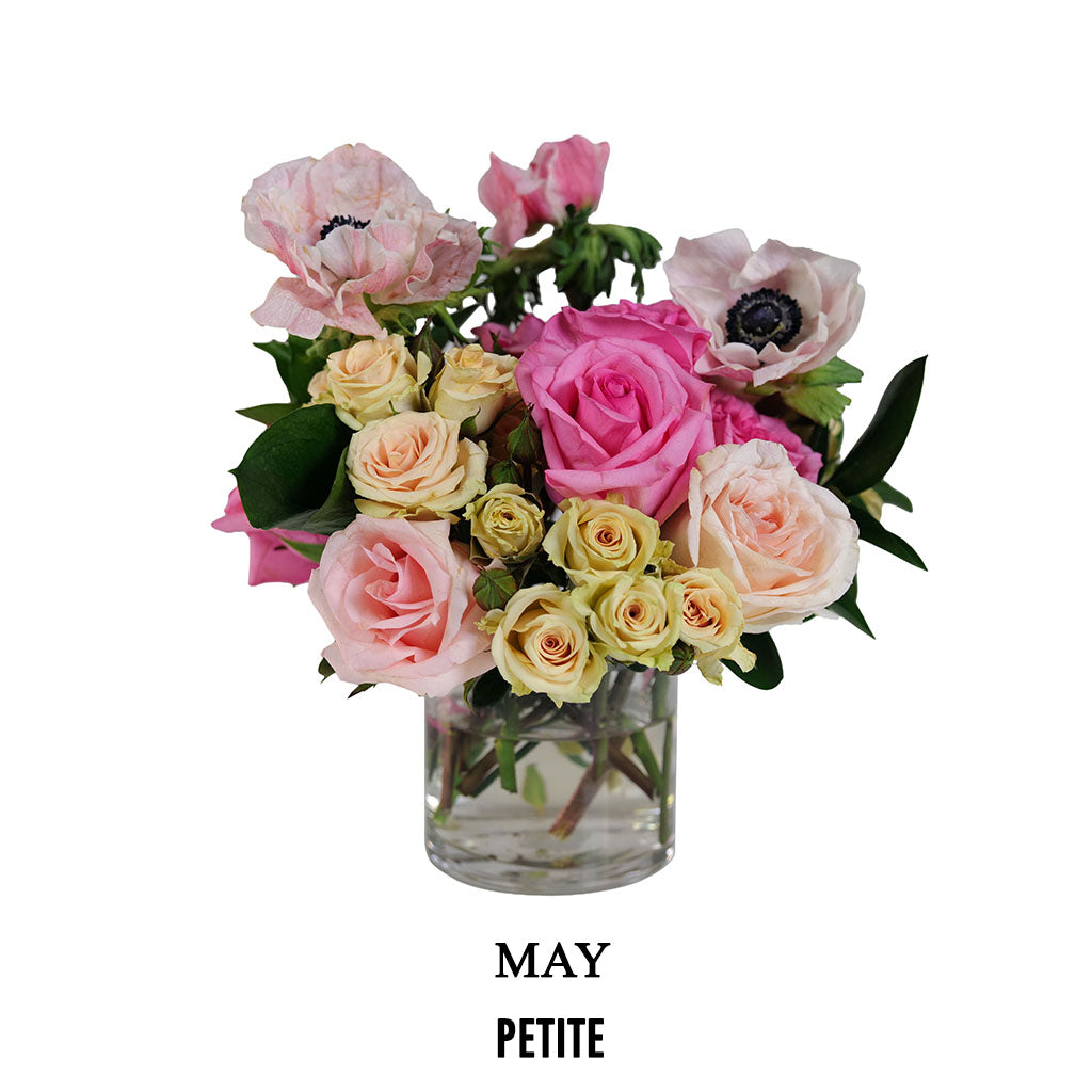 May Rosé Glow (2026)