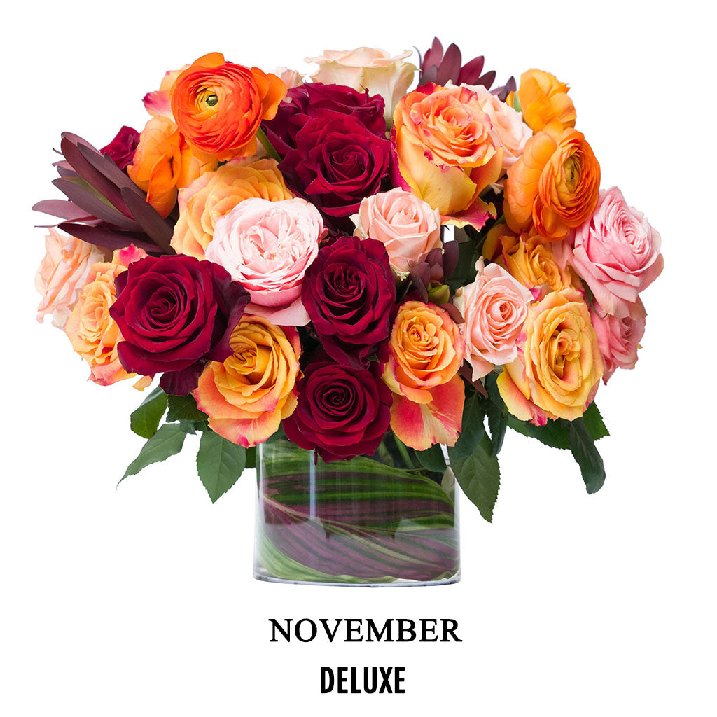 November Weekend Muse (2026)