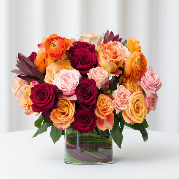 November Weekend Muse (2026)