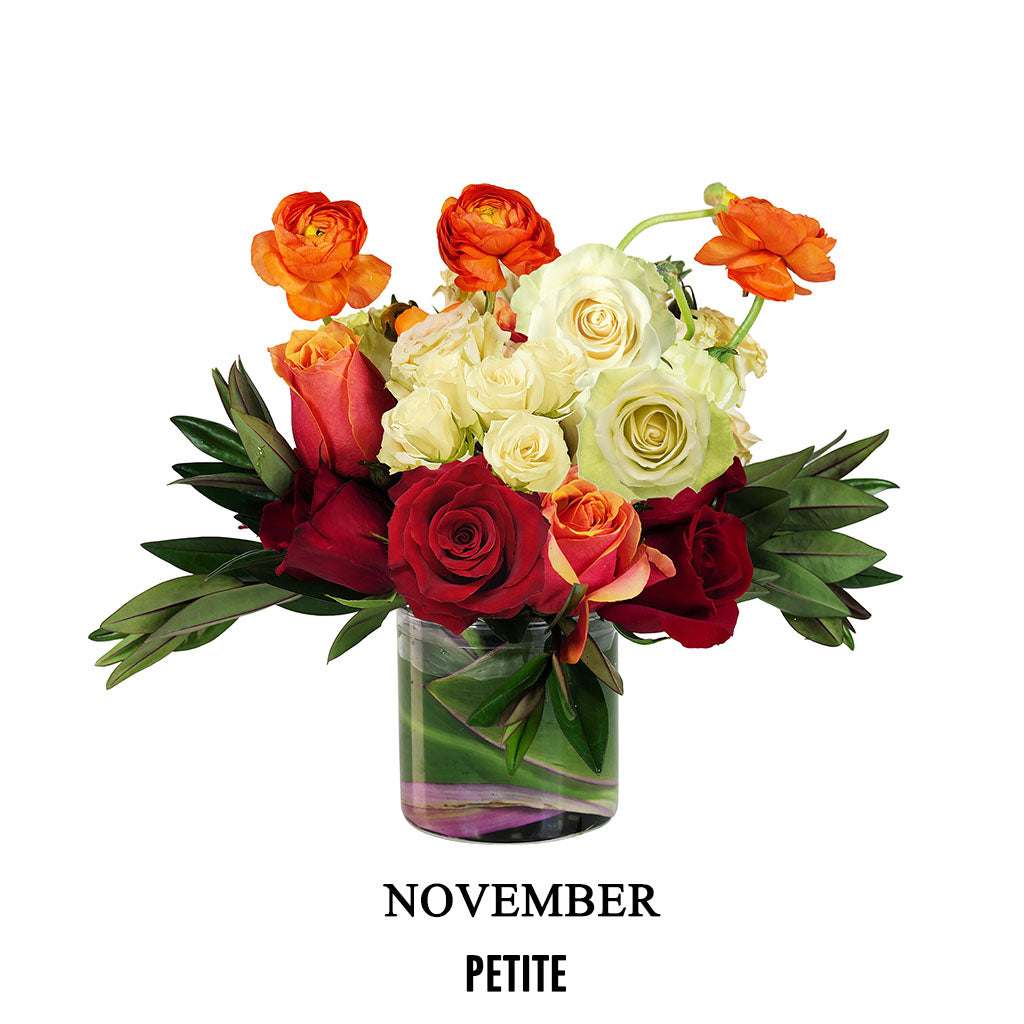 November Weekend Muse (2026)