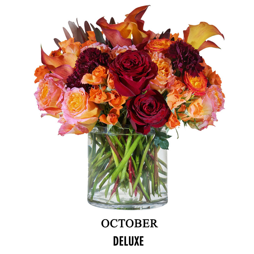 October Statement Piece (2026)