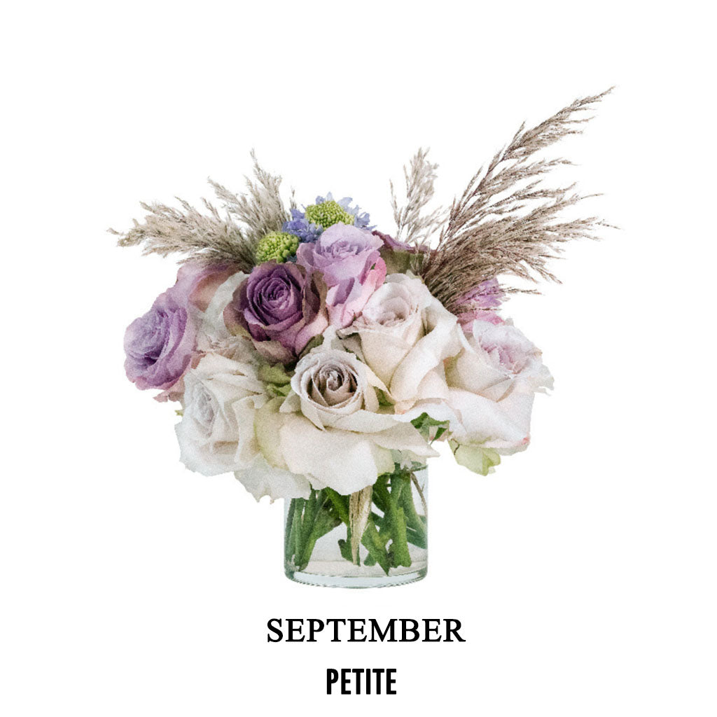 September Quiet Luxury (2026)