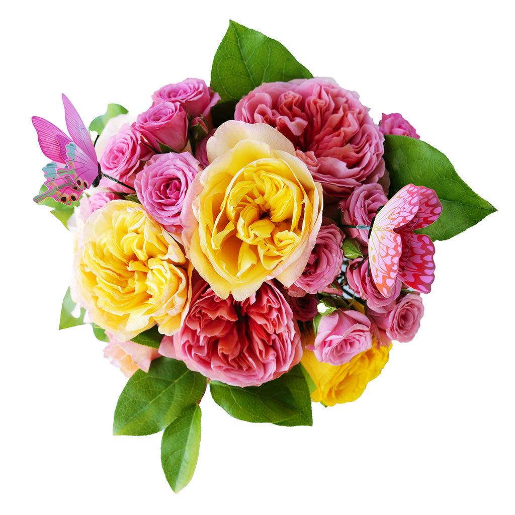 Bouquet Box honoring Dolly