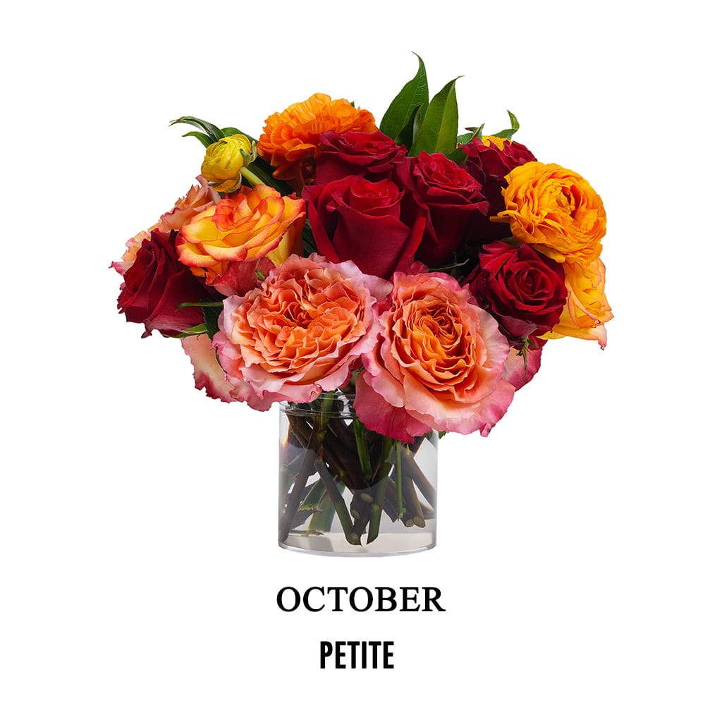 October Crêpe - Petite